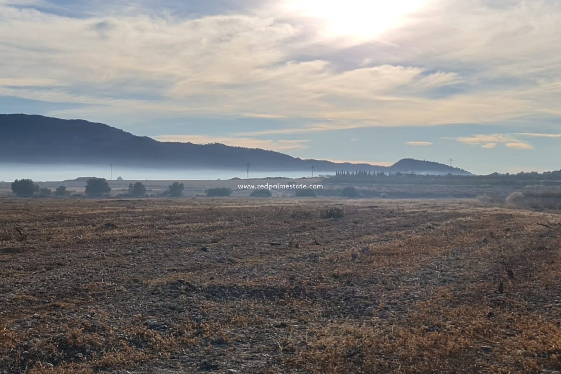 Reventa - Trama -
Monóvar/Monóver - Inland