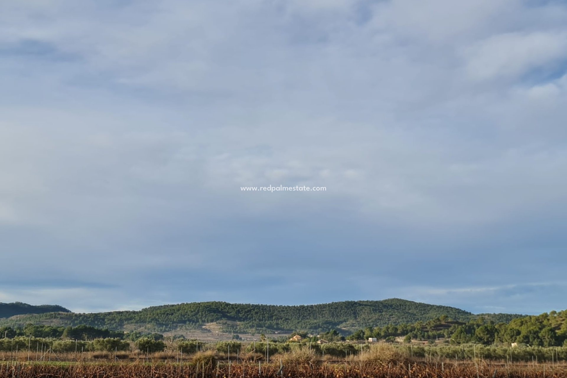 Reventa - Trama -
Monóvar/Monóver - Inland