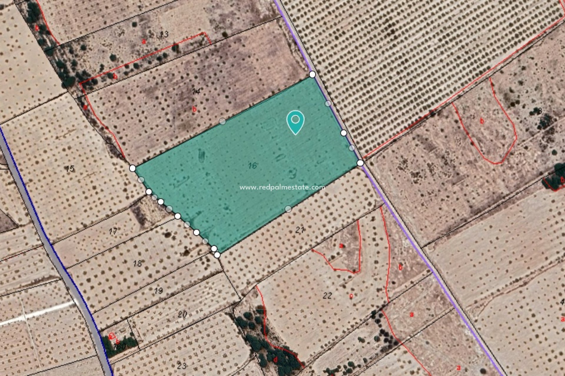 Reventa - Trama -
Monóvar/Monóver - Inland