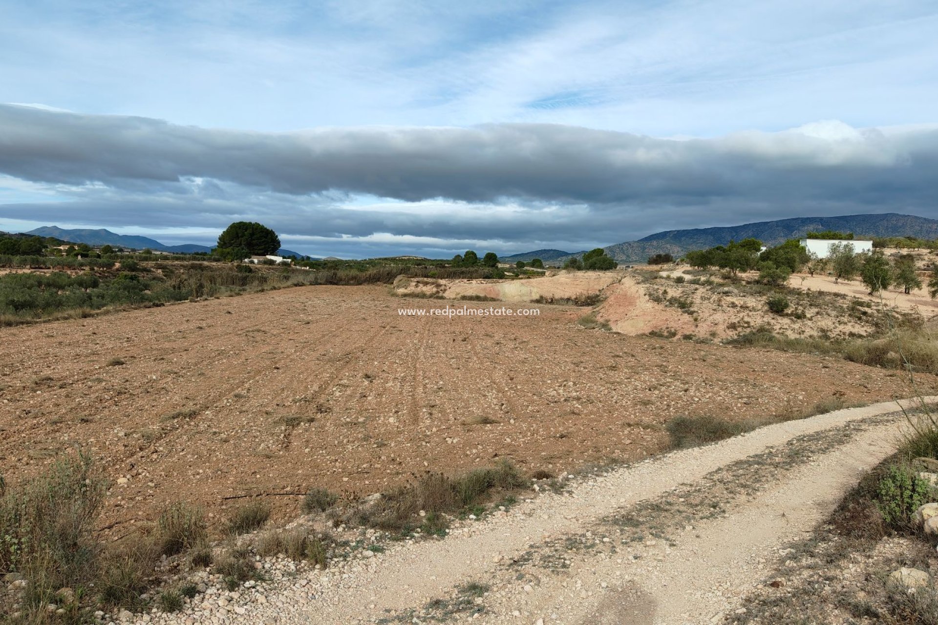 Reventa - Trama -
Monóvar/Monóver - Inland