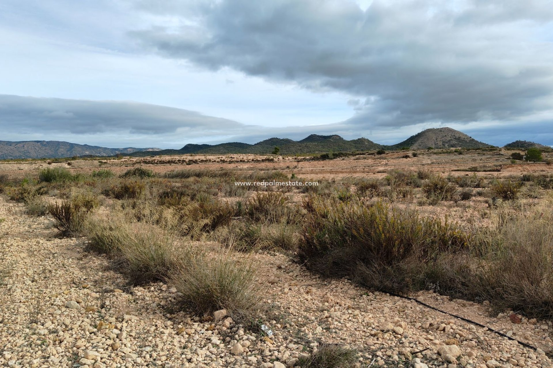 Reventa - Trama -
Monóvar/Monóver - Inland