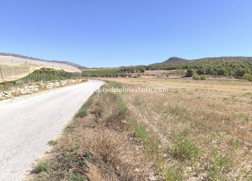 Reventa - Trama -
Monóvar/Monóver - Inland