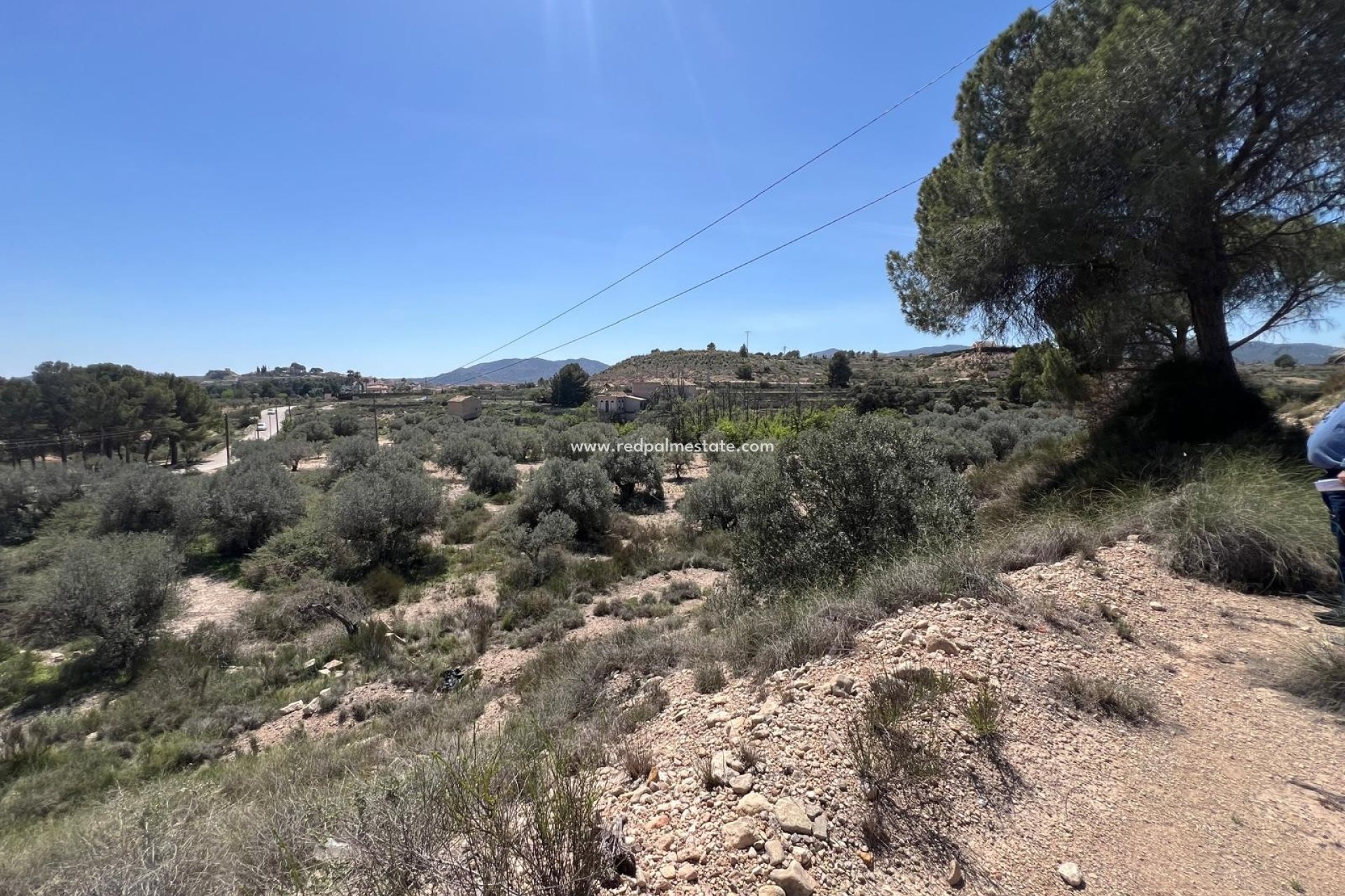 Reventa - Trama -
Monóvar/Monóver - Inland