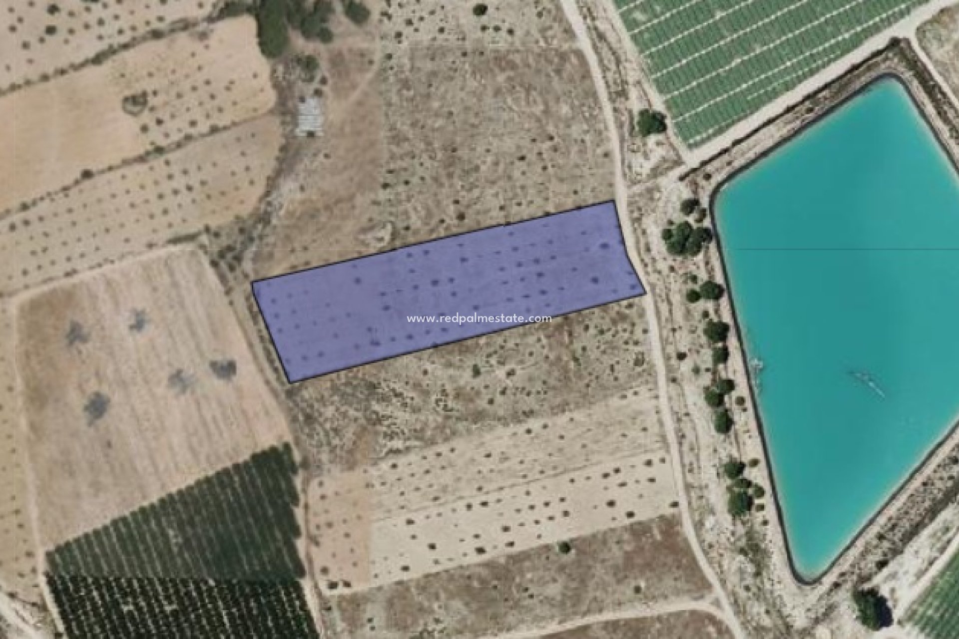 Reventa - Trama -
Monóvar/Monóver - Inland