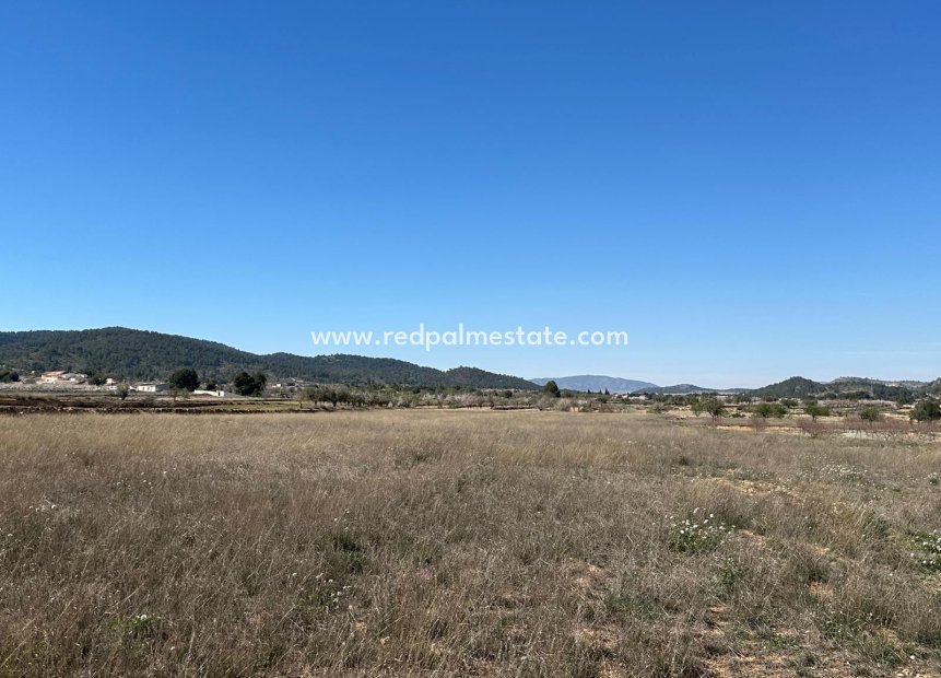 Reventa - Trama -
Monóvar/Monóver - Inland