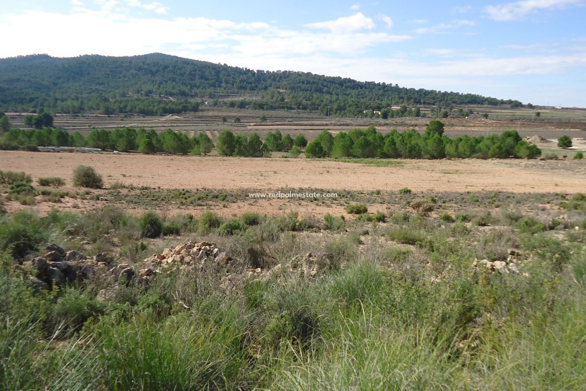 Reventa - Trama -
Monóvar/Monóver - Inland