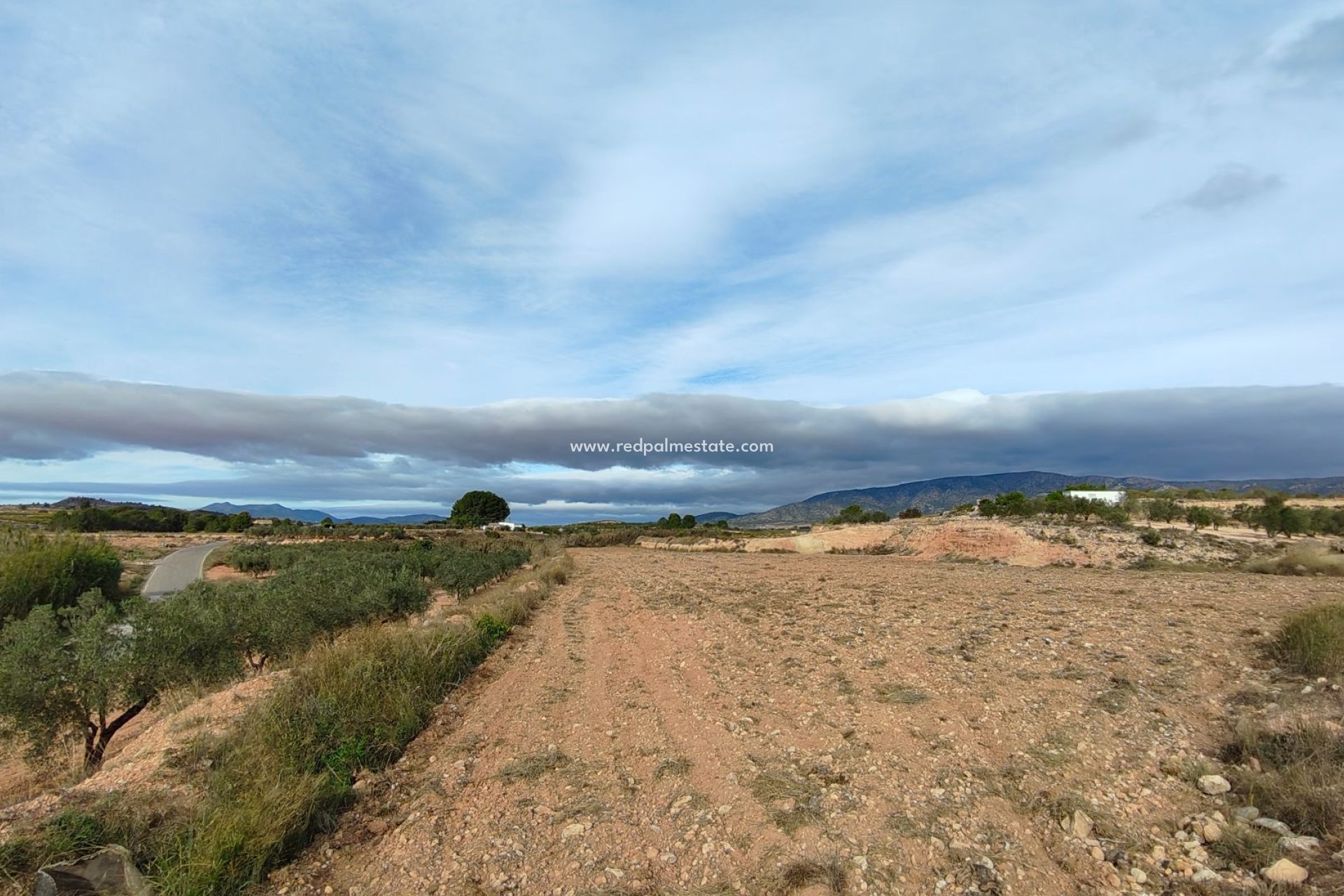 Reventa - Trama -
Monóvar/Monóver - Inland