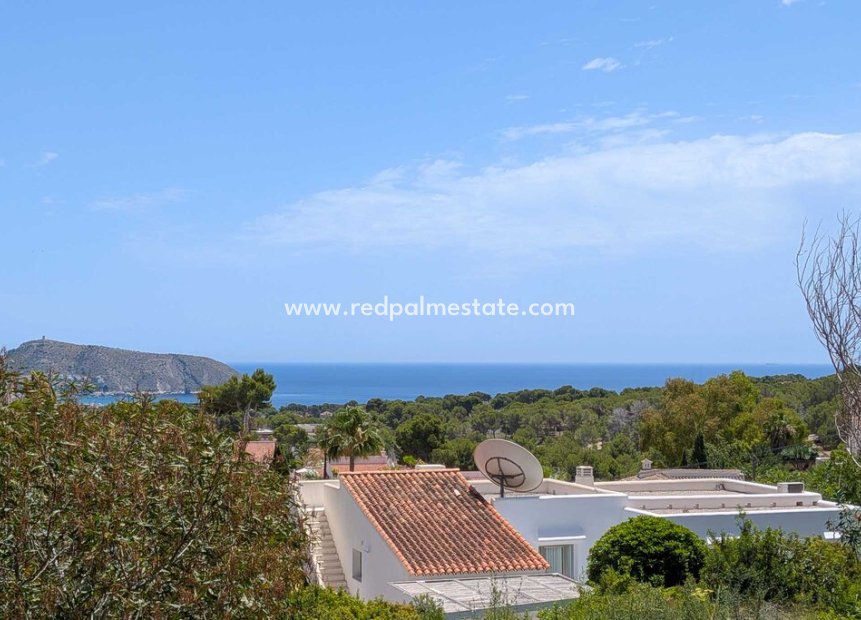 Reventa - Trama -
Moraira