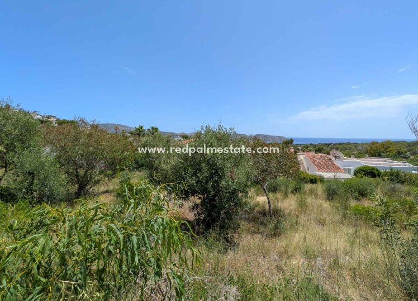 Reventa - Trama -
Moraira