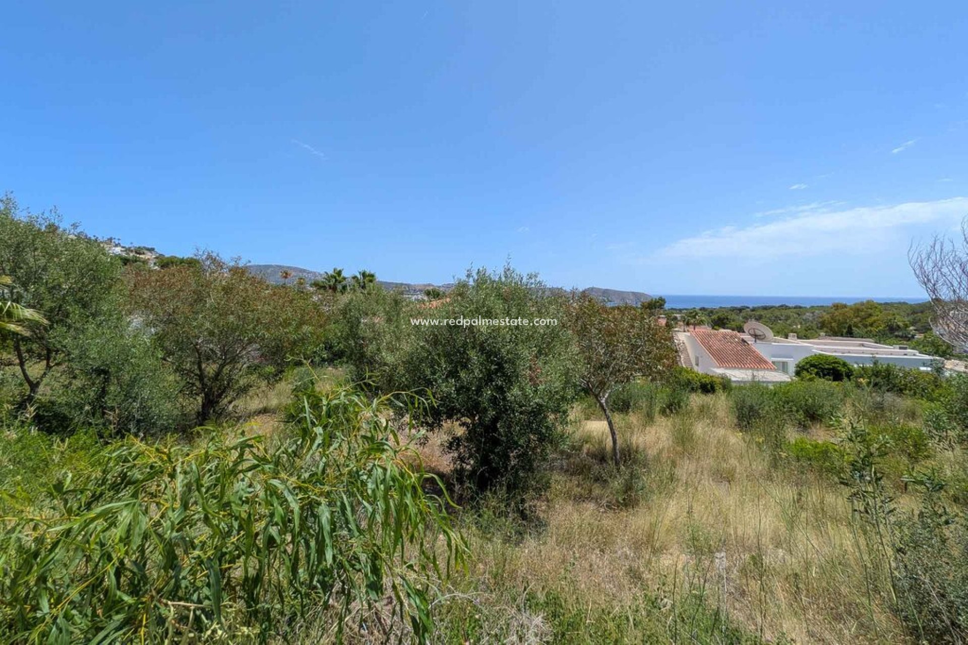 Reventa - Trama -
Moraira