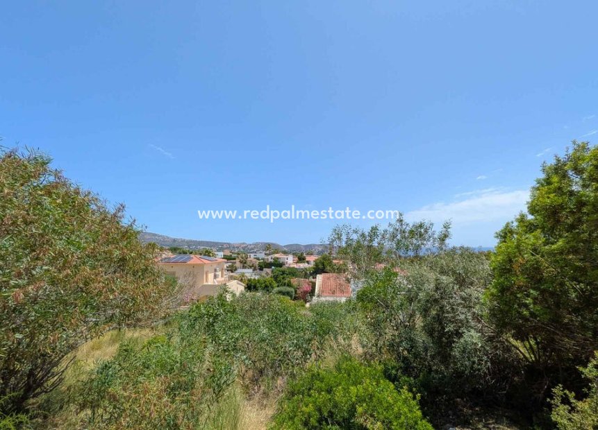 Reventa - Trama -
Moraira