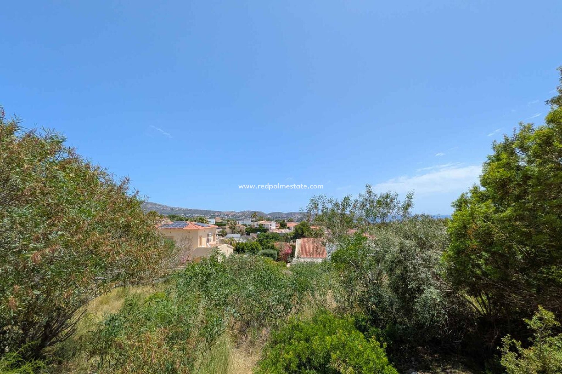 Reventa - Trama -
Moraira