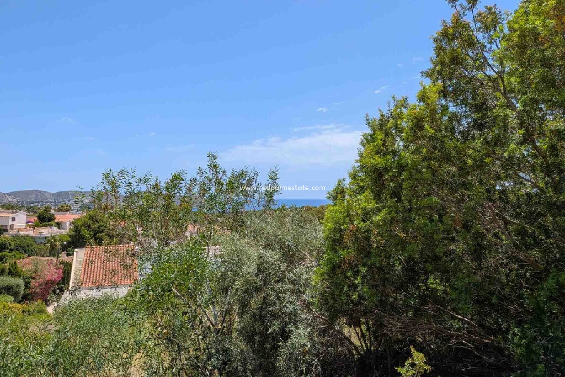 Reventa - Trama -
Moraira
