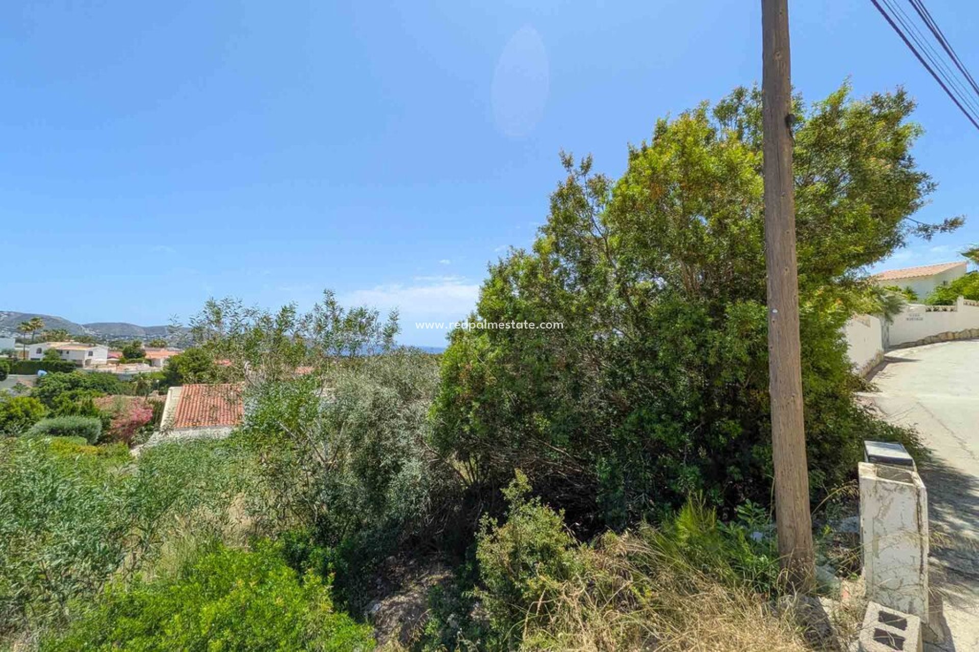 Reventa - Trama -
Moraira