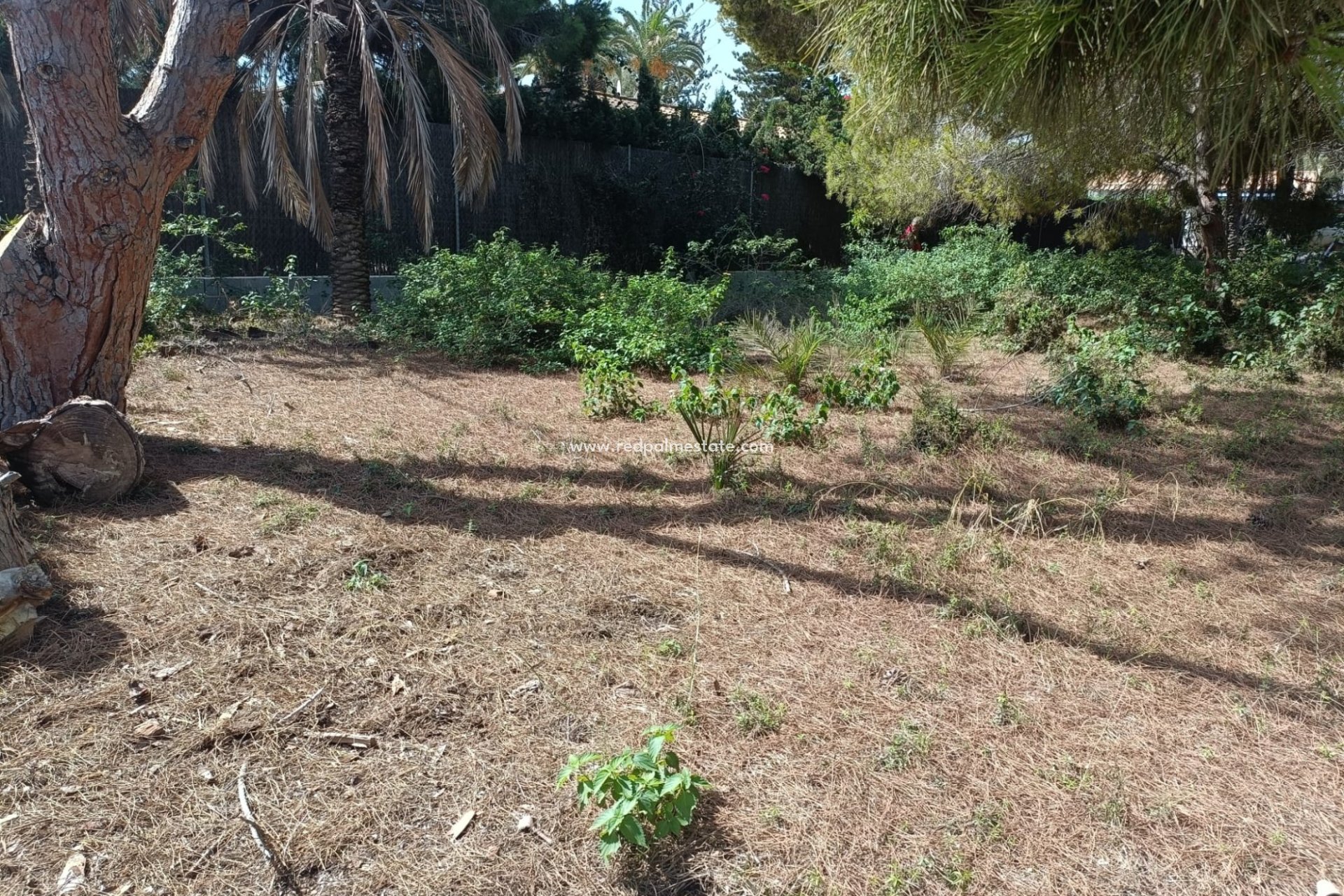 Reventa - Trama -
Orihuela Costa - Cabo Roig