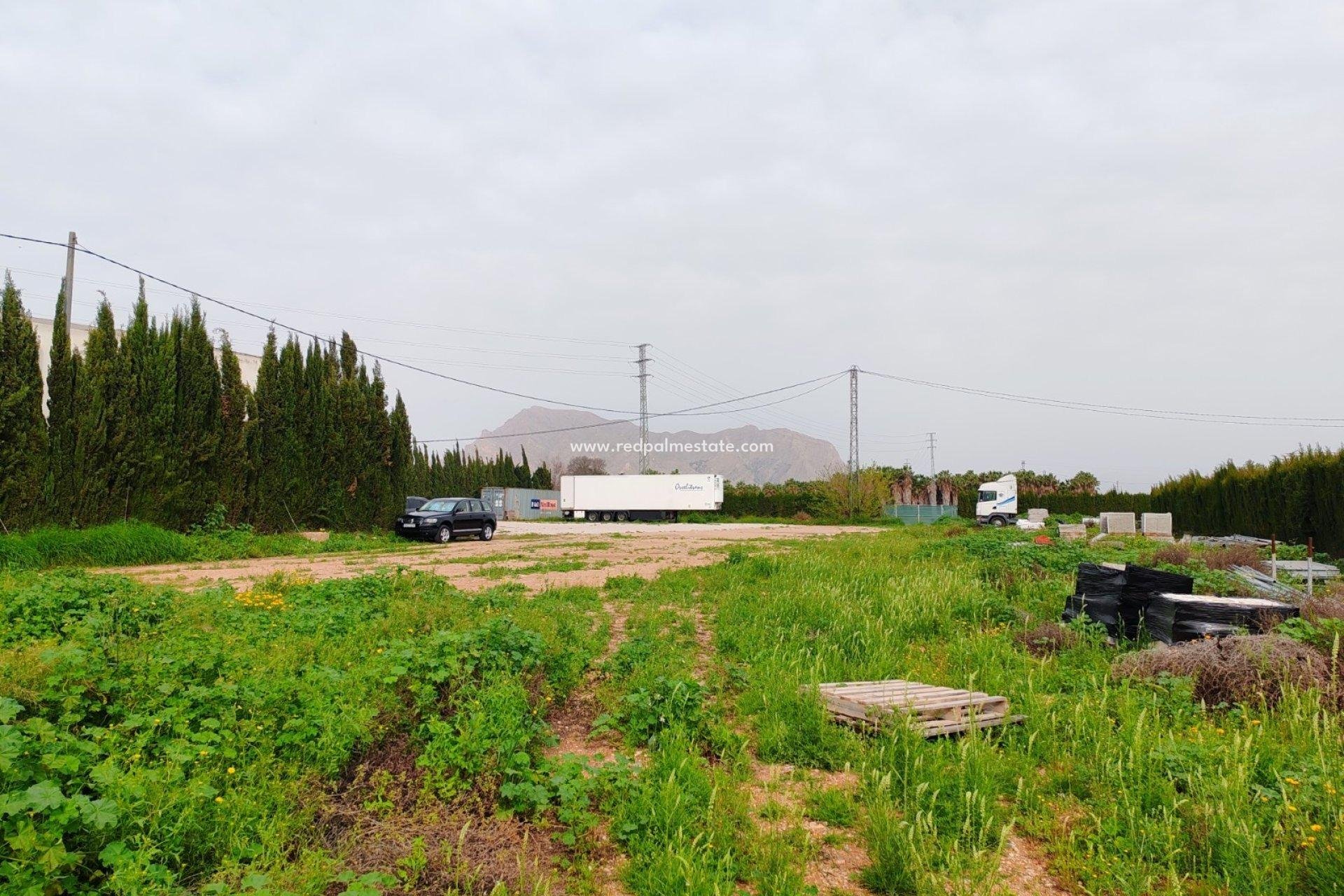 Reventa - Trama -
Orihuela Costa - Orihuela