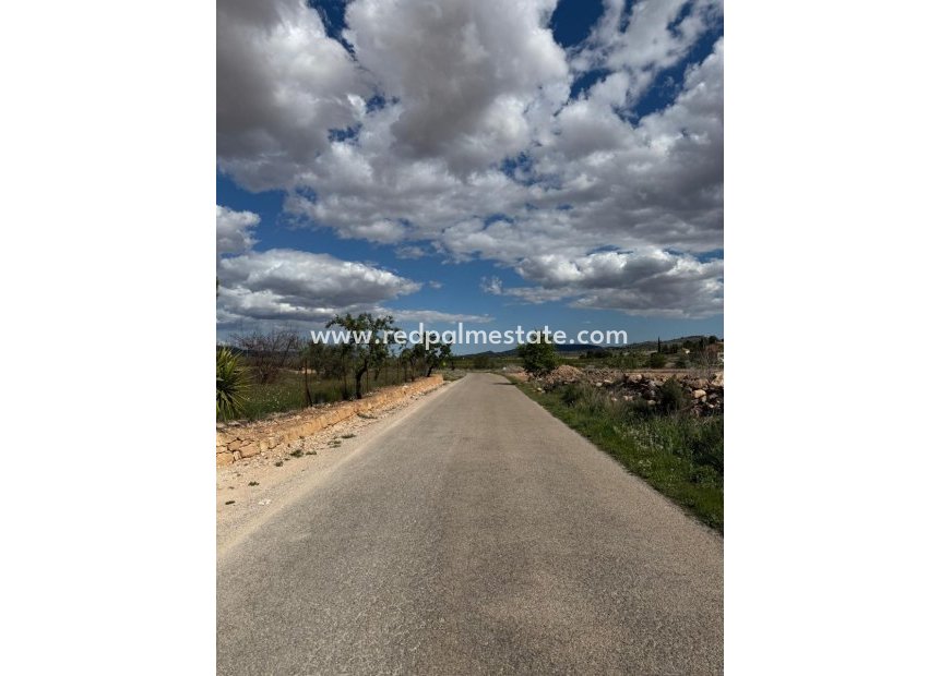Reventa - Trama -
Pinoso - Inland