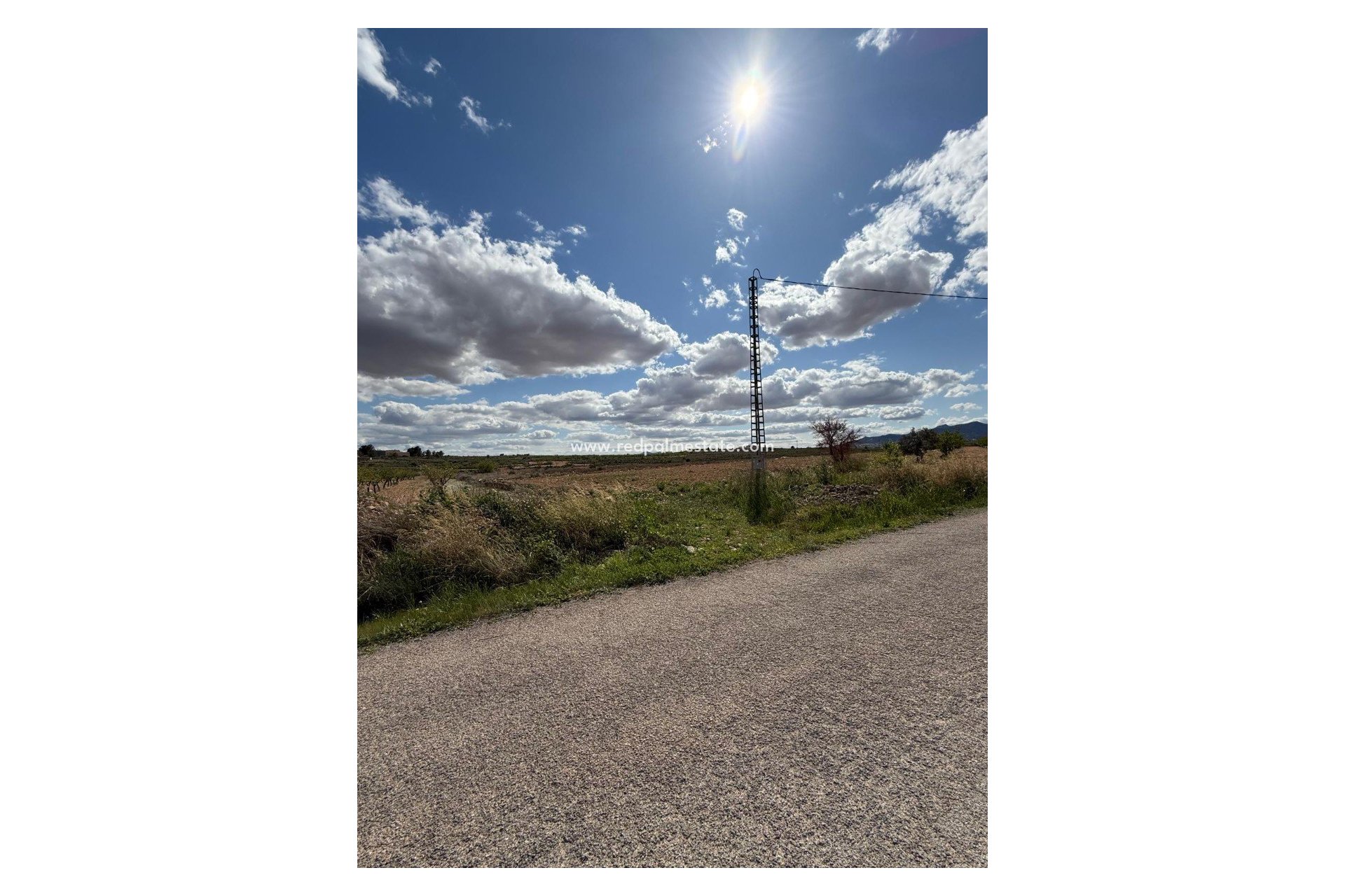 Reventa - Trama -
Pinoso - Inland