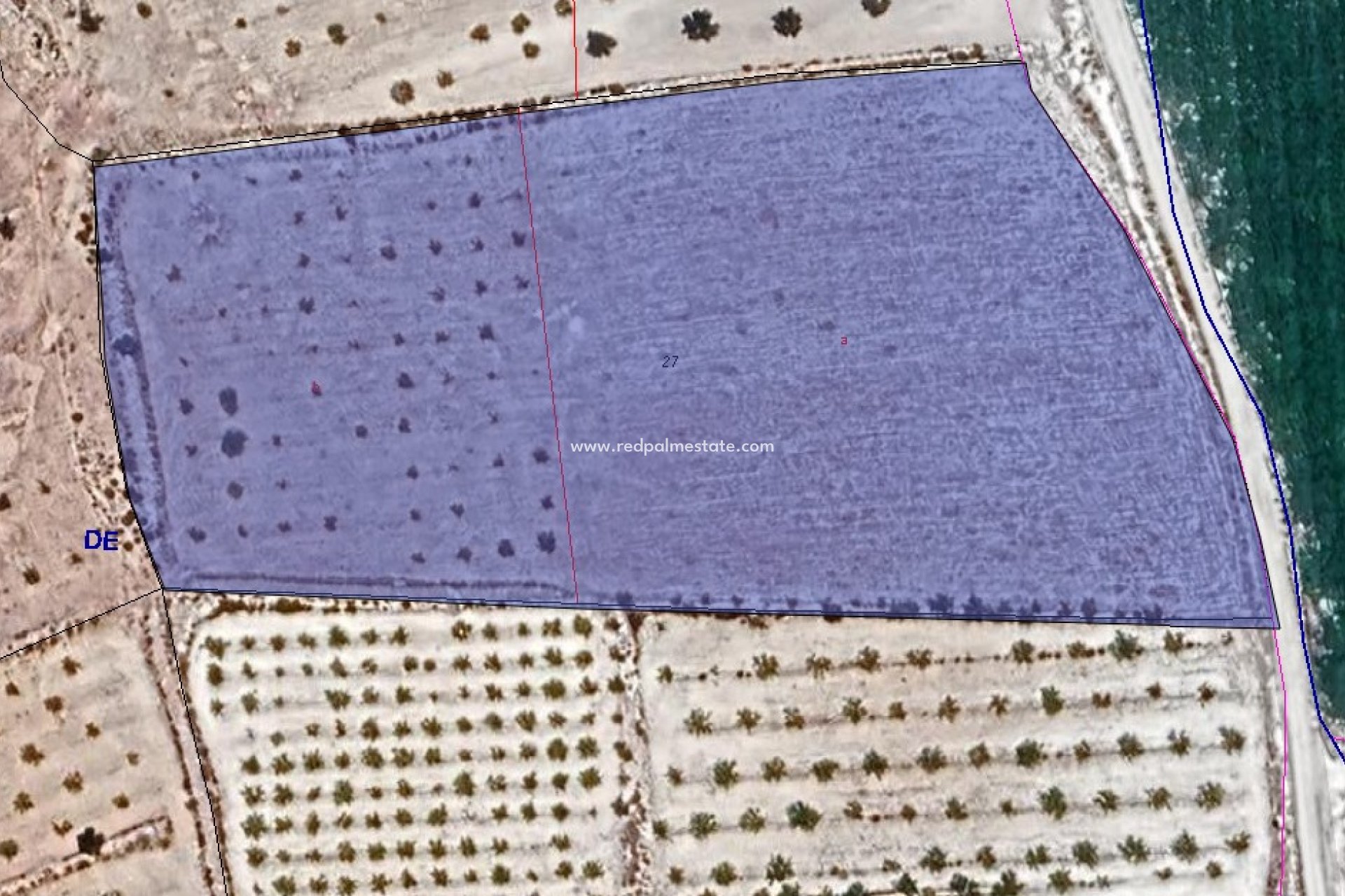 Reventa - Trama -
Pinoso - Inland