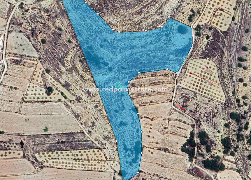 Reventa - Trama -
Pinoso - Inland