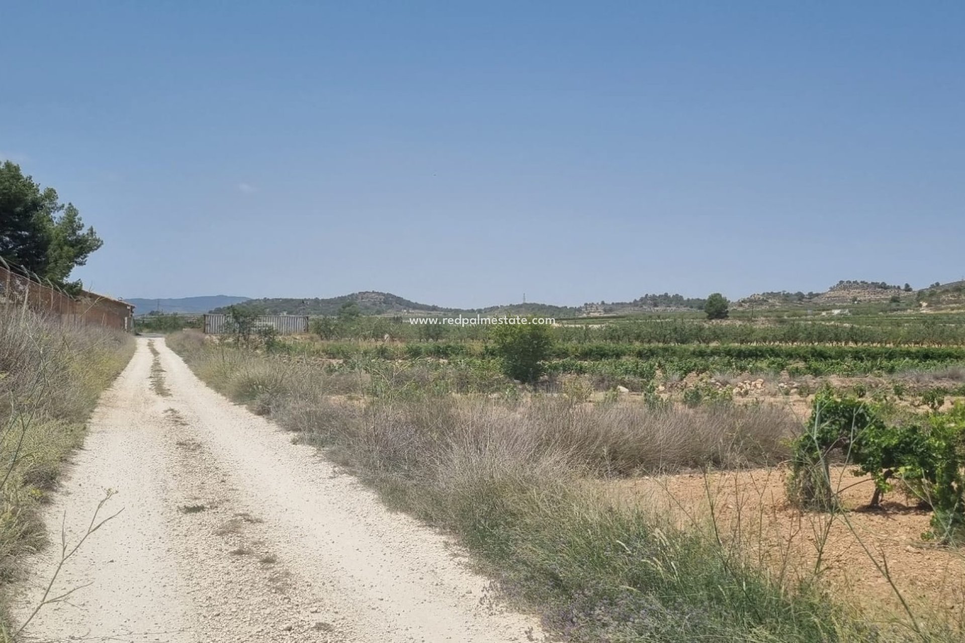 Reventa - Trama -
Pinoso - Inland