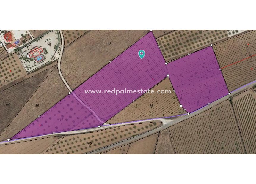 Reventa - Trama -
Pinoso - Inland
