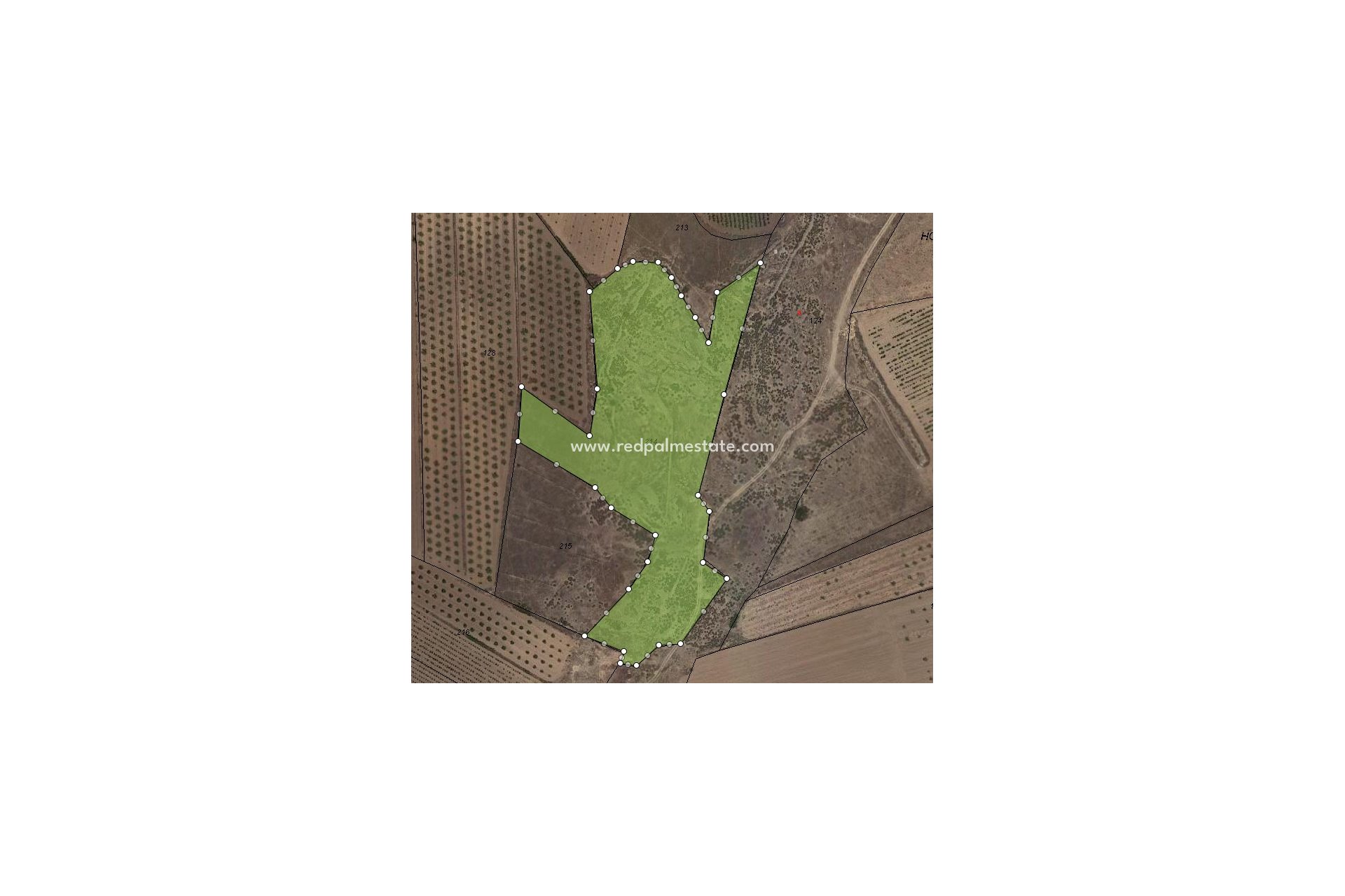 Reventa - Trama -
Pinoso - Inland