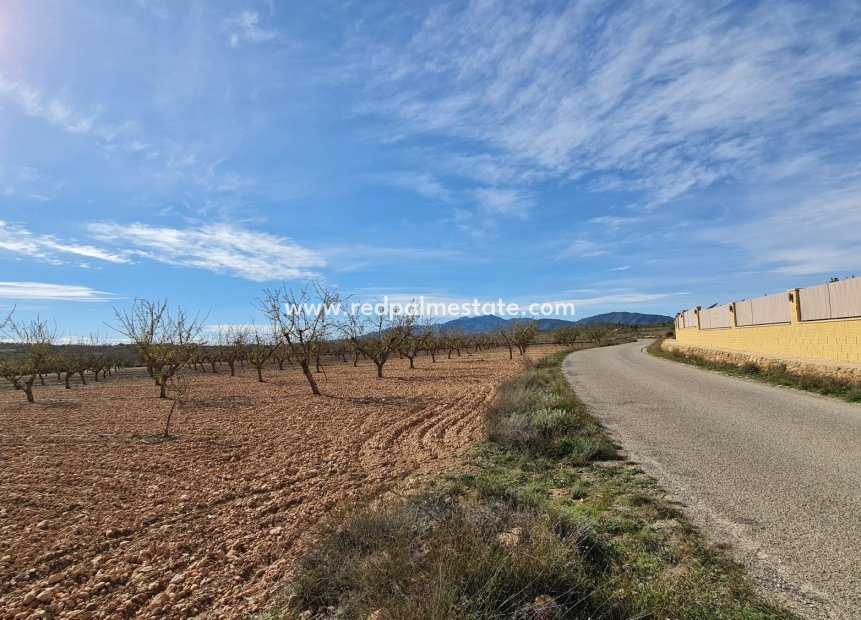Reventa - Trama -
Pinoso - Inland