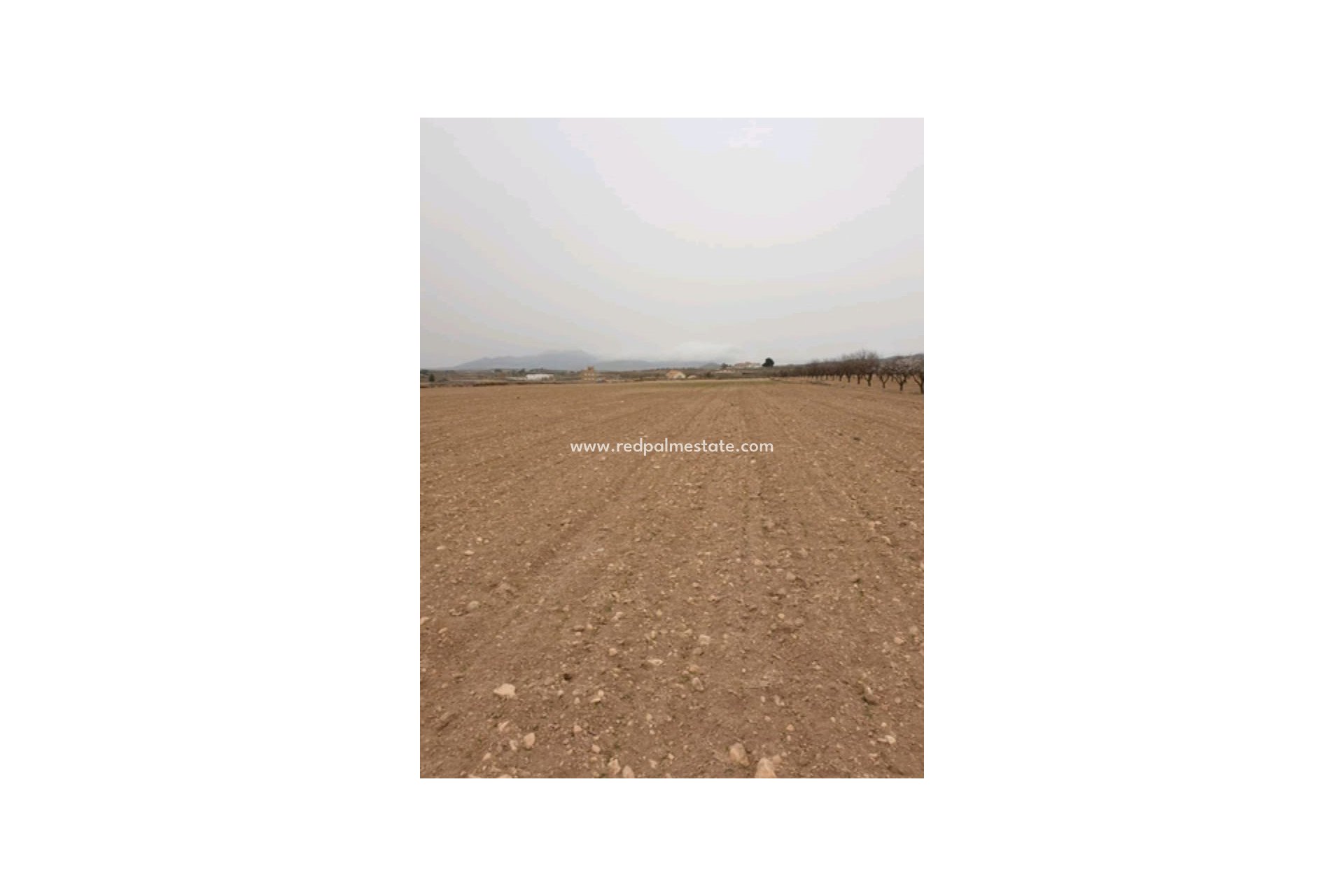 Reventa - Trama -
Pinoso - Inland