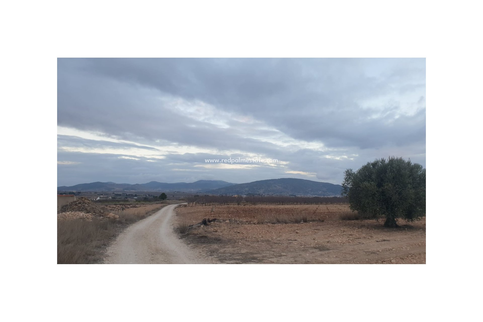 Reventa - Trama -
Pinoso - Inland