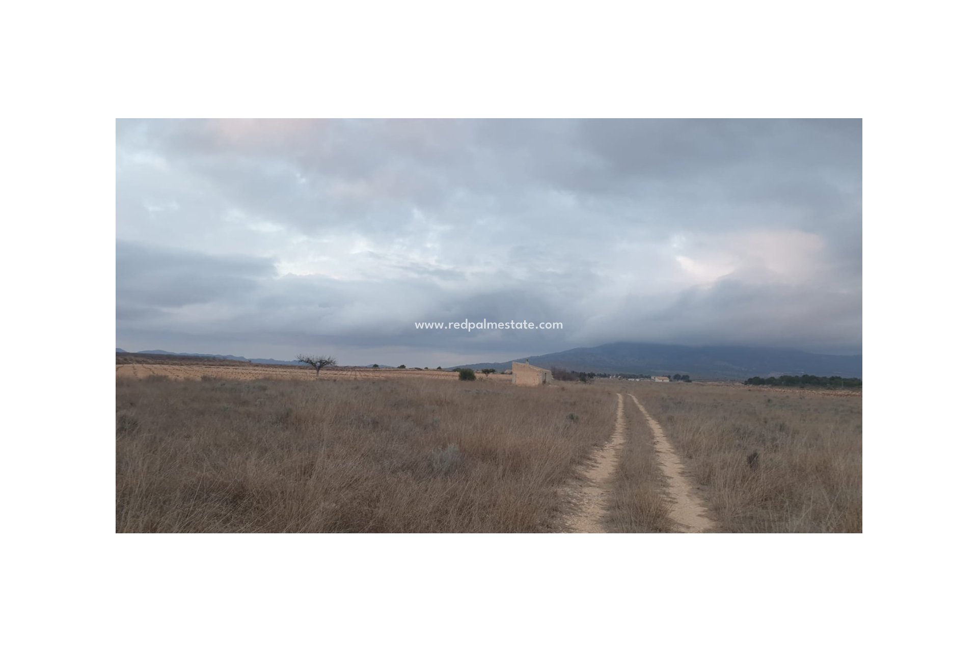 Reventa - Trama -
Pinoso - Inland
