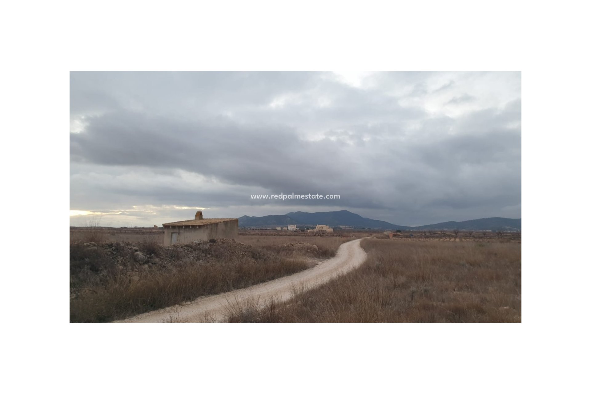 Reventa - Trama -
Pinoso - Inland
