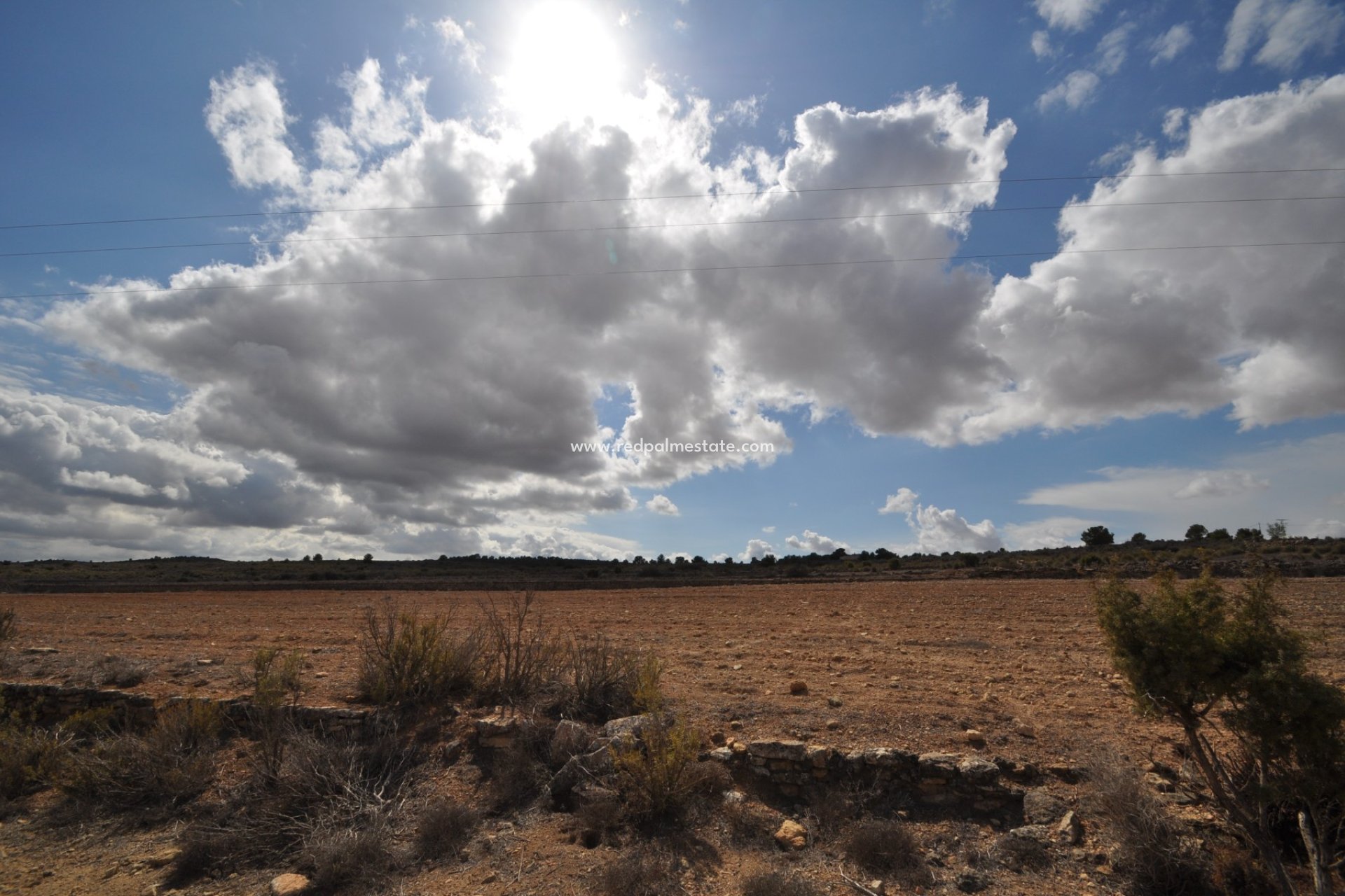 Reventa - Trama -
Pinoso - Inland
