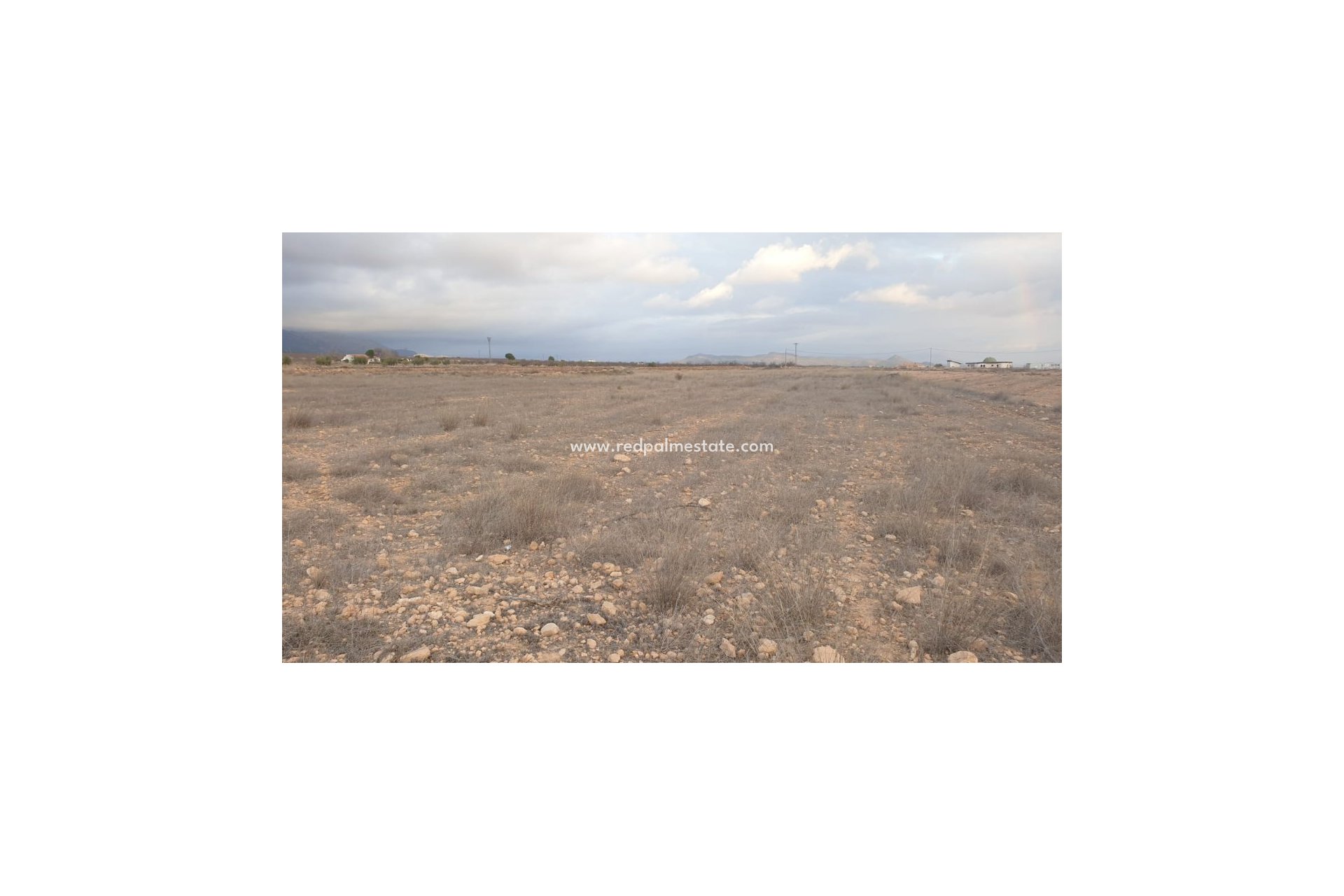 Reventa - Trama -
Pinoso - Inland