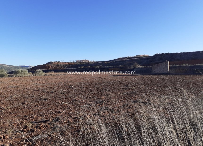 Reventa - Trama -
Pinoso - Inland