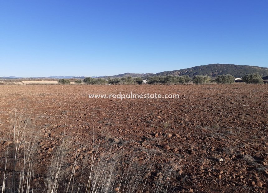 Reventa - Trama -
Pinoso - Inland