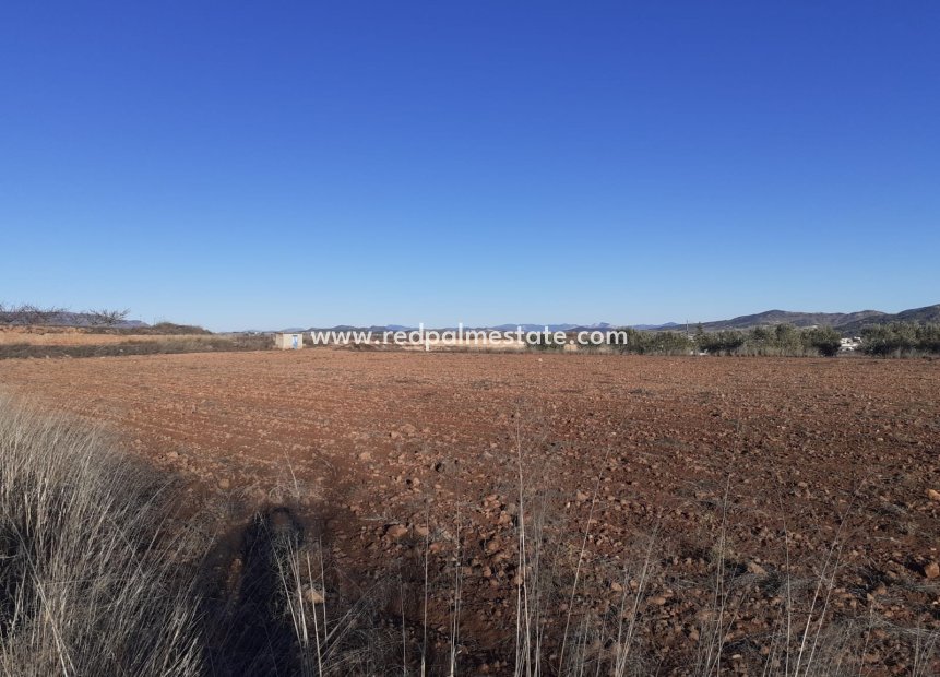 Reventa - Trama -
Pinoso - Inland