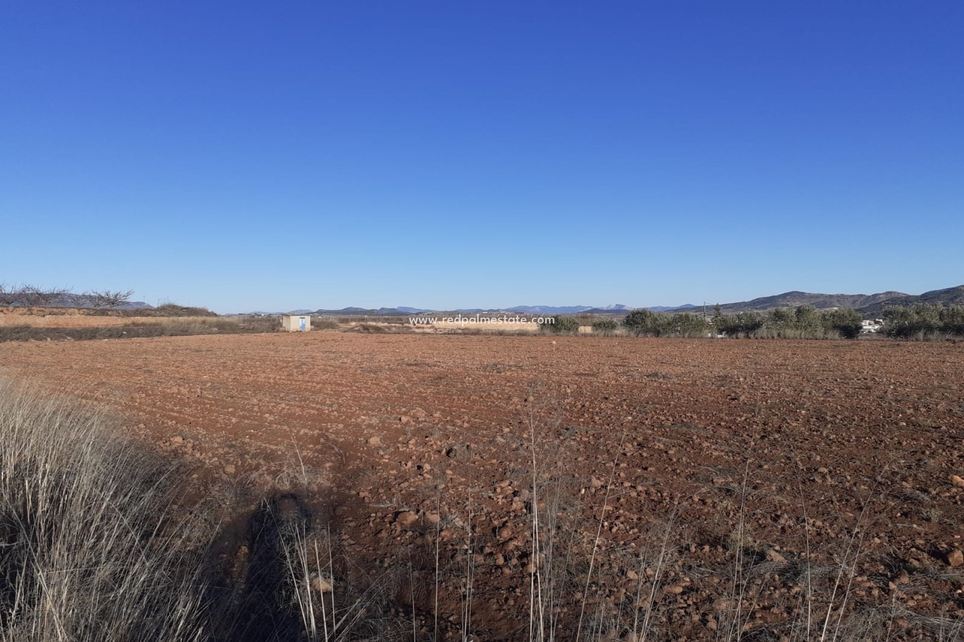 Reventa - Trama -
Pinoso - Inland