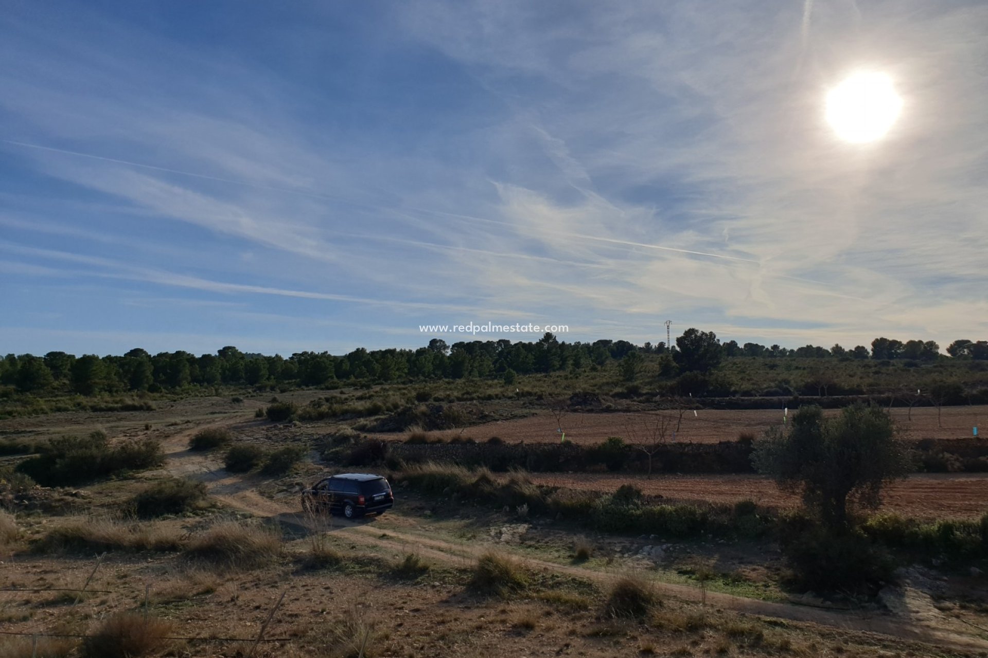 Reventa - Trama -
Pinoso - Inland