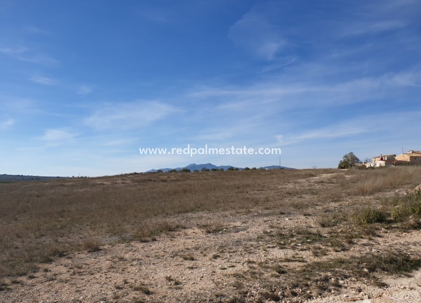 Reventa - Trama -
Pinoso - Inland