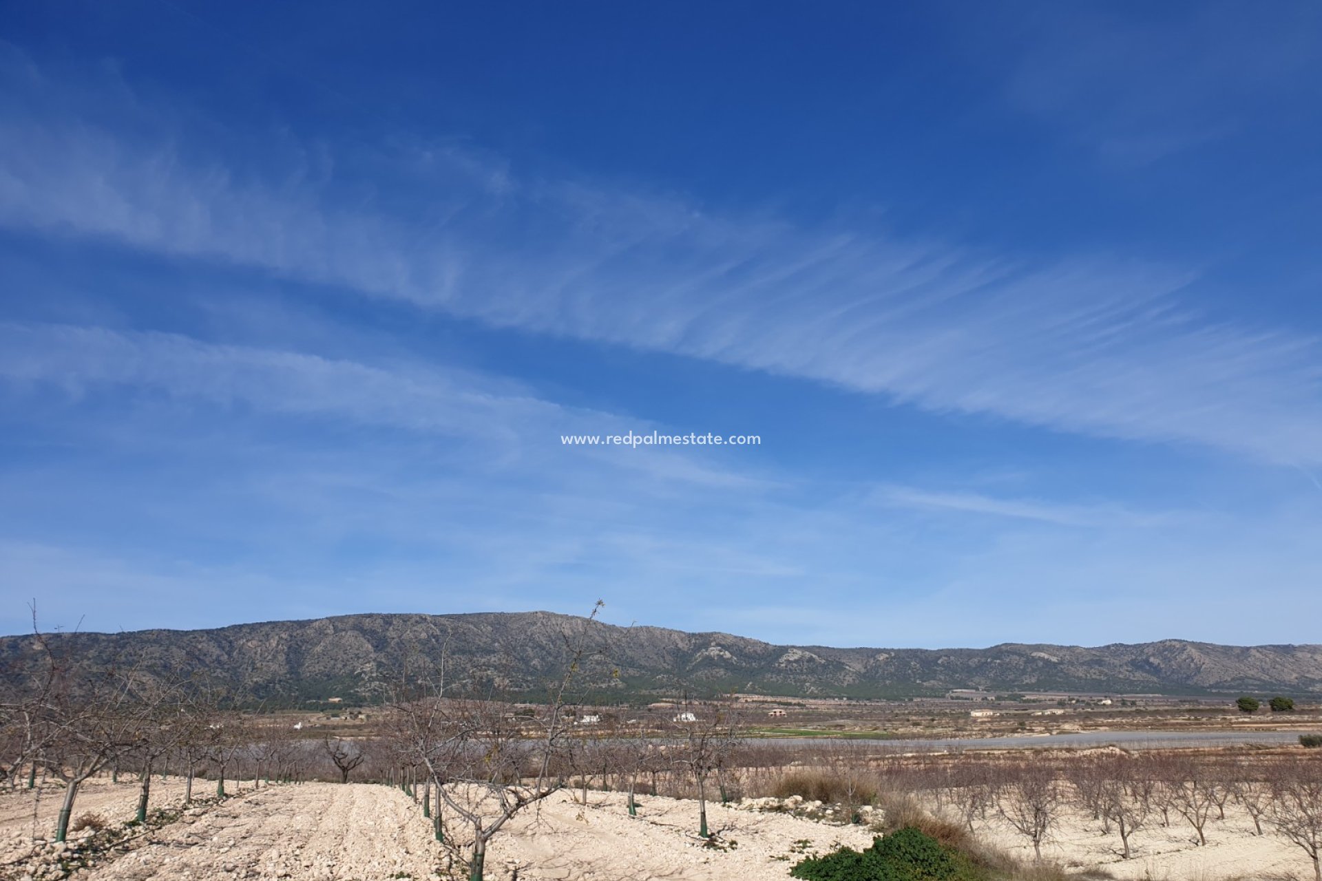 Reventa - Trama -
Pinoso - Inland