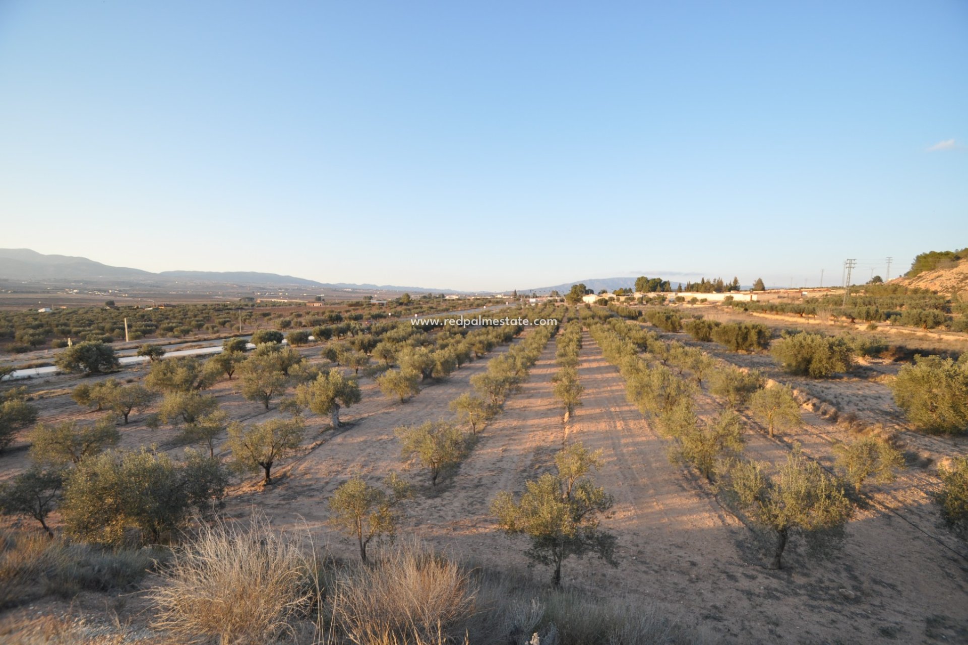 Reventa - Trama -
Pinoso - Inland