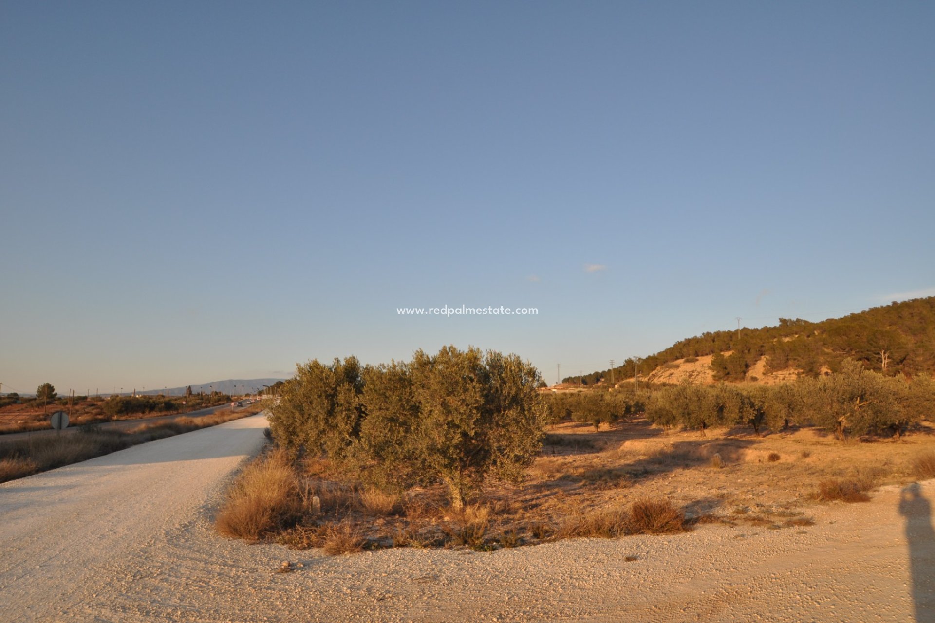 Reventa - Trama -
Pinoso - Inland
