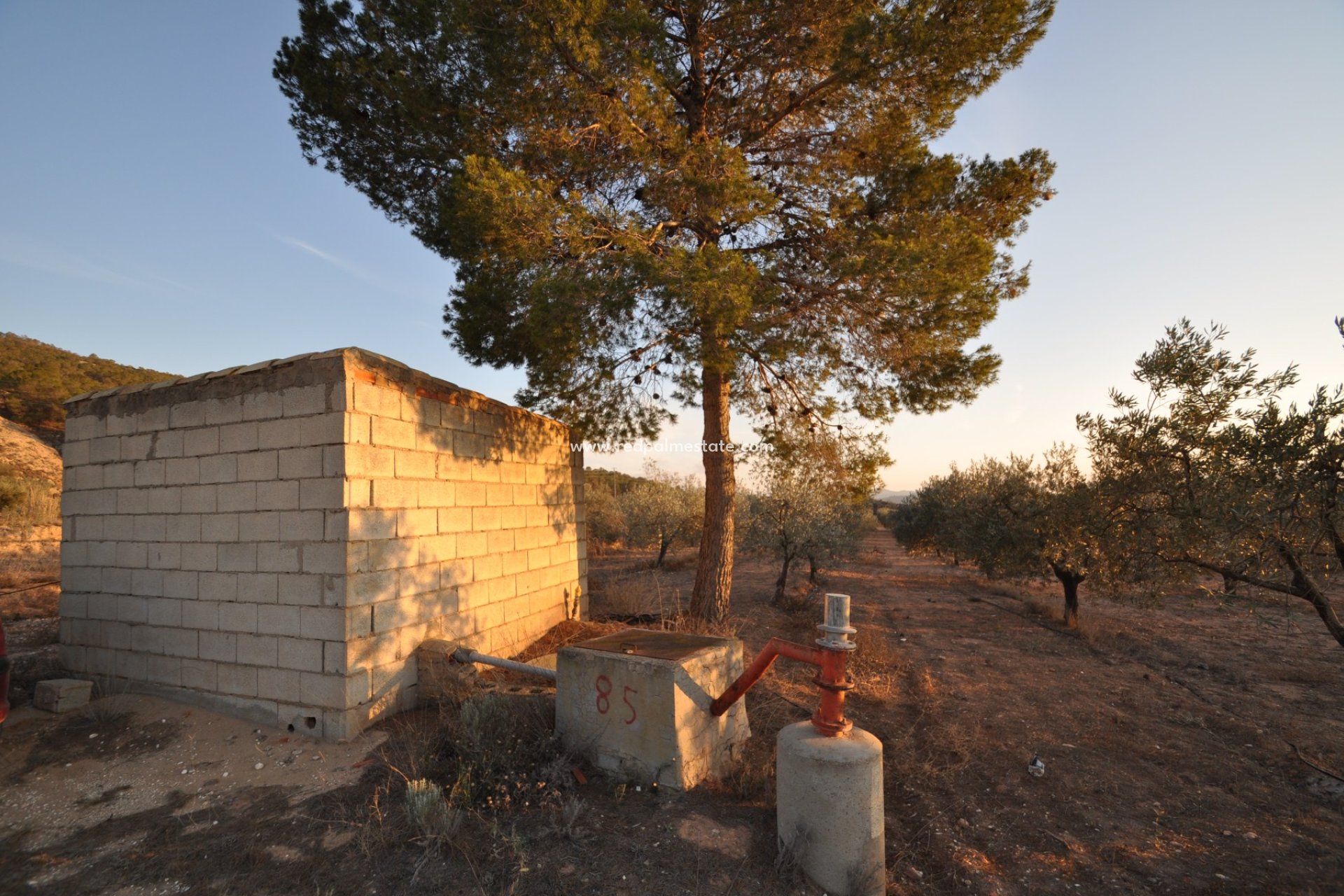 Reventa - Trama -
Pinoso - Inland