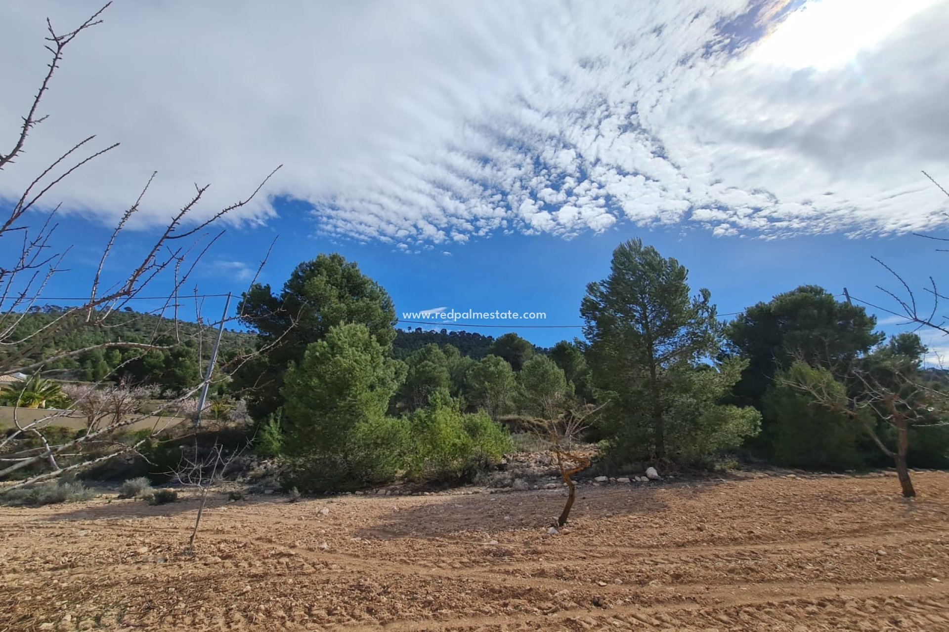 Reventa - Trama -
Pinoso - Inland