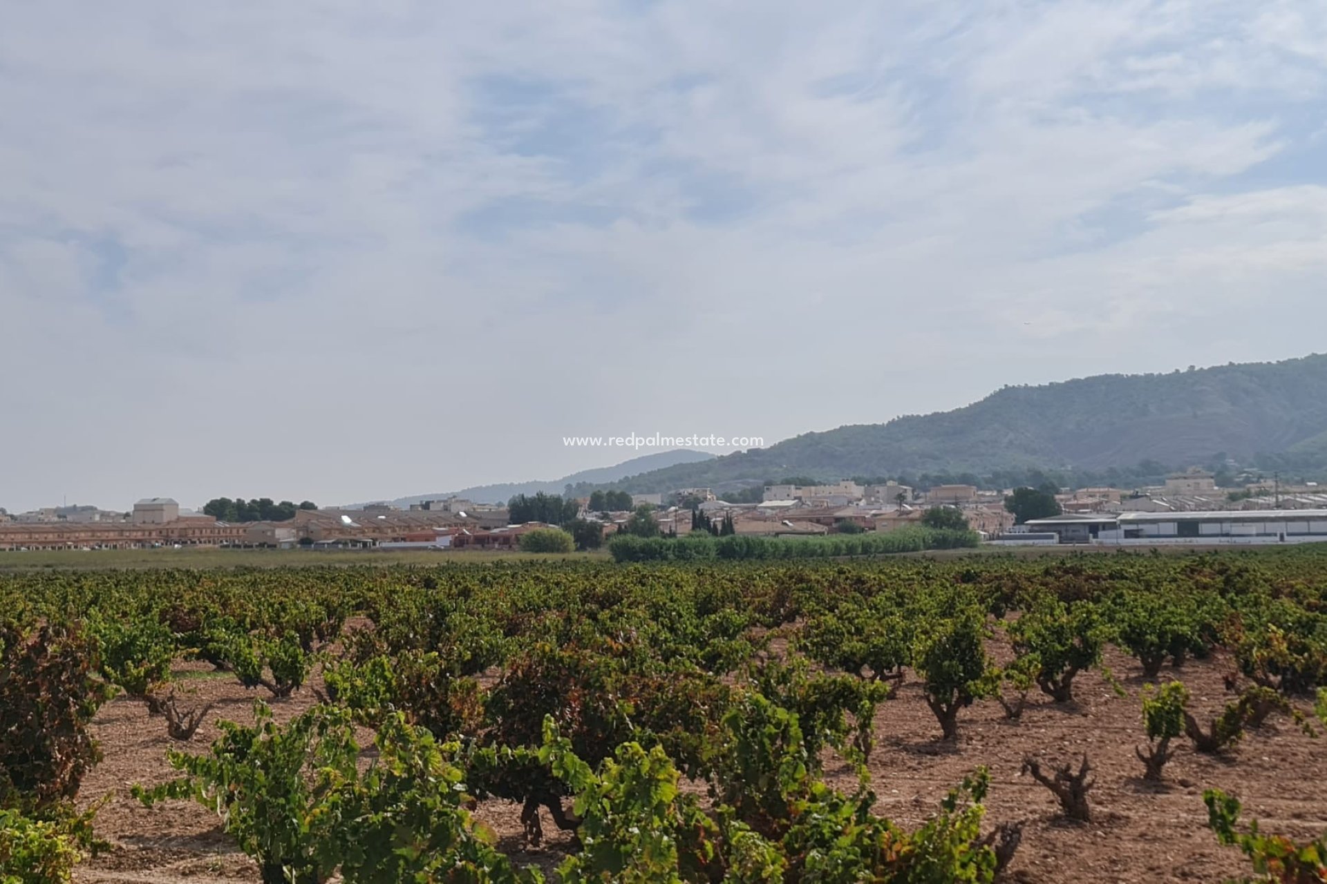 Reventa - Trama -
Pinoso - Inland