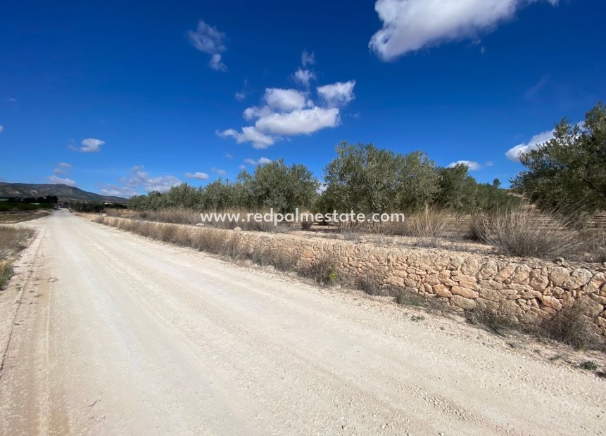 Reventa - Trama -
Pinoso - Inland