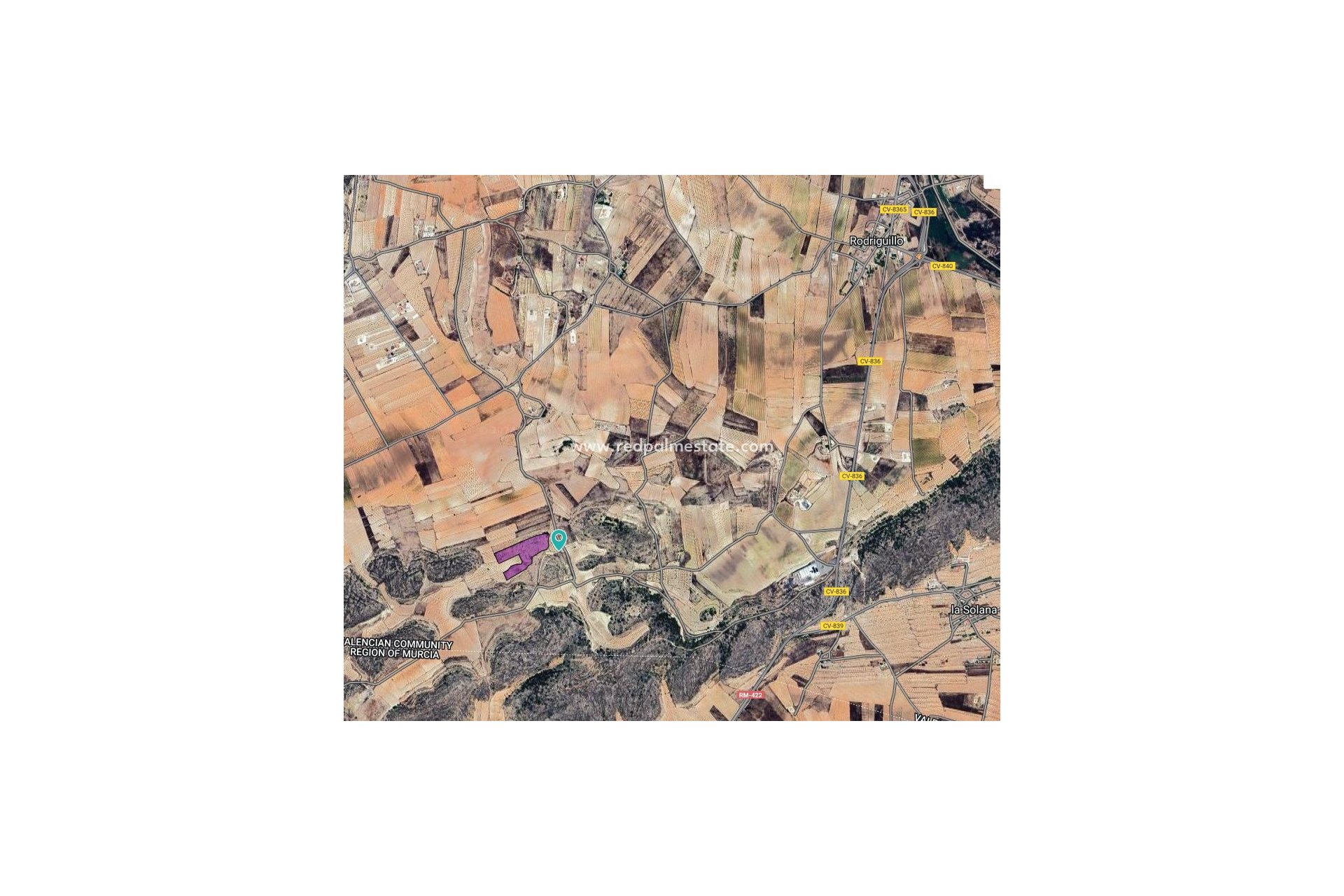 Reventa - Trama -
Pinoso - Inland