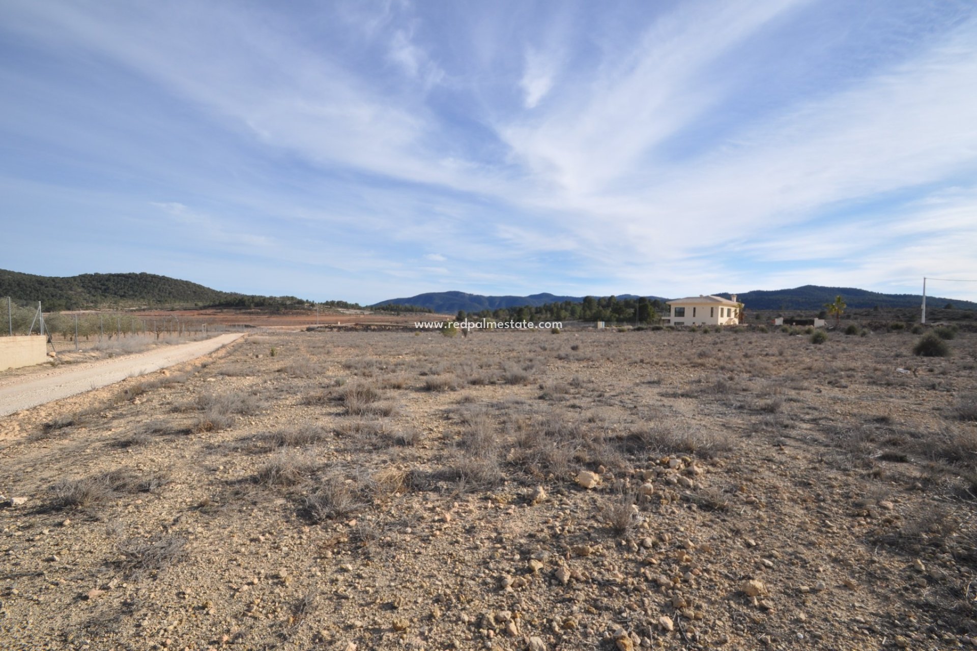 Reventa - Trama -
Pinoso - Inland