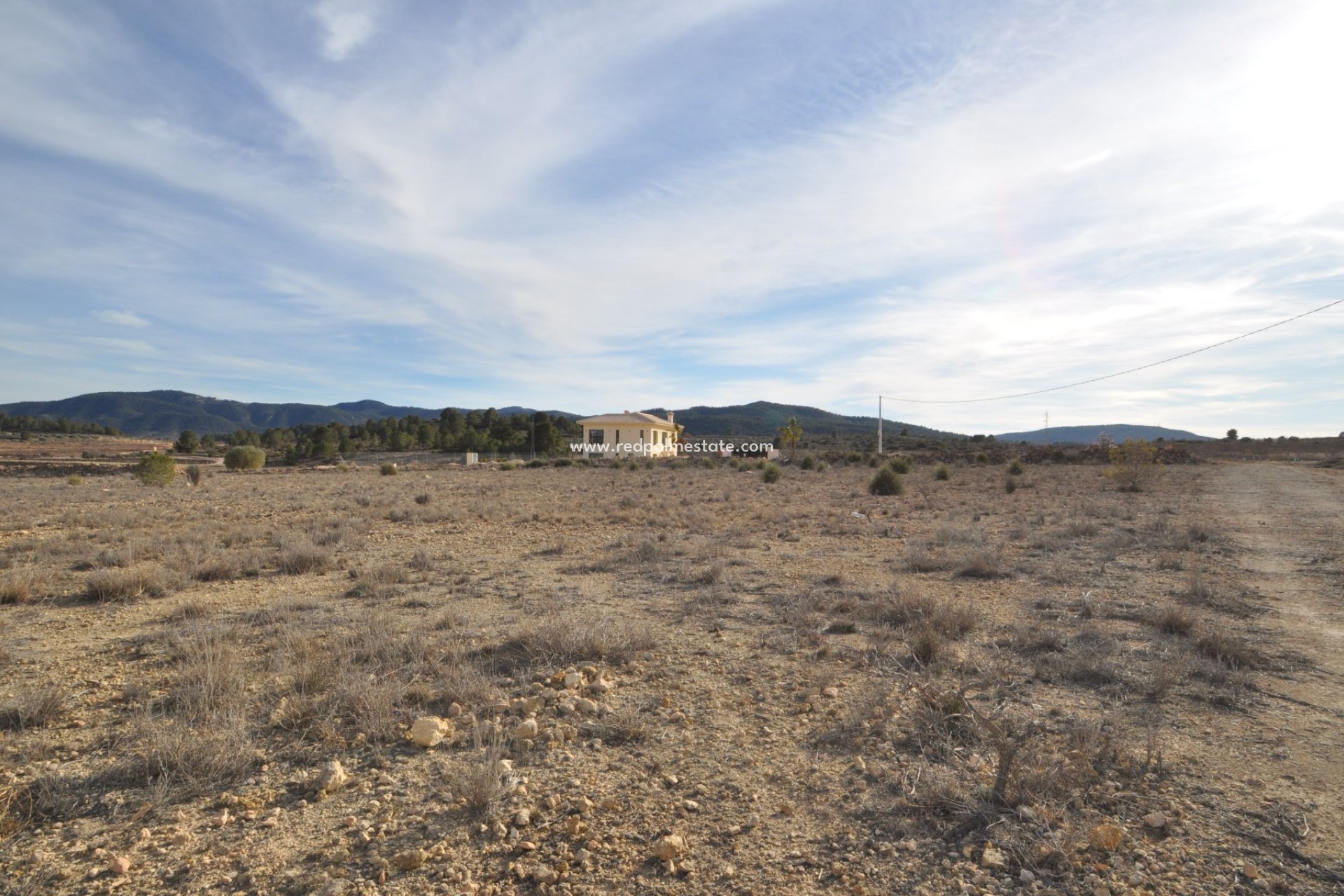 Reventa - Trama -
Pinoso - Inland